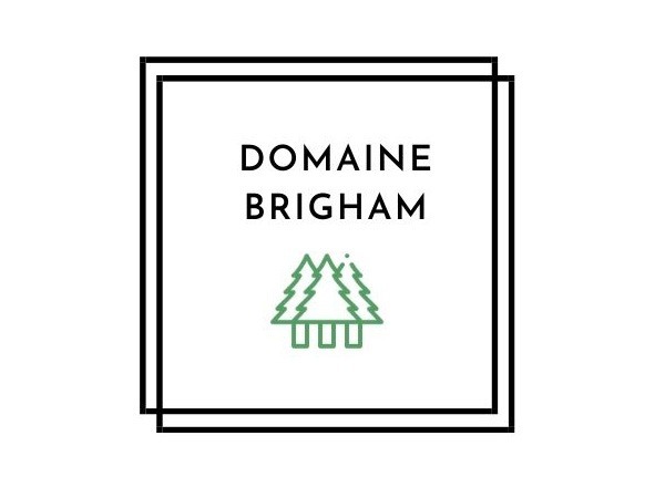 Logo - Domaine Brigham